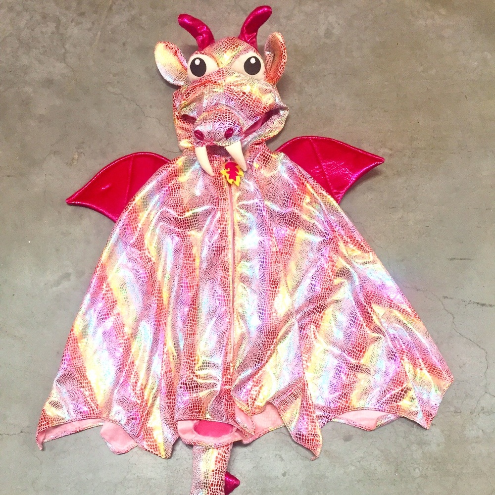 Rainbow Dragon Costume
